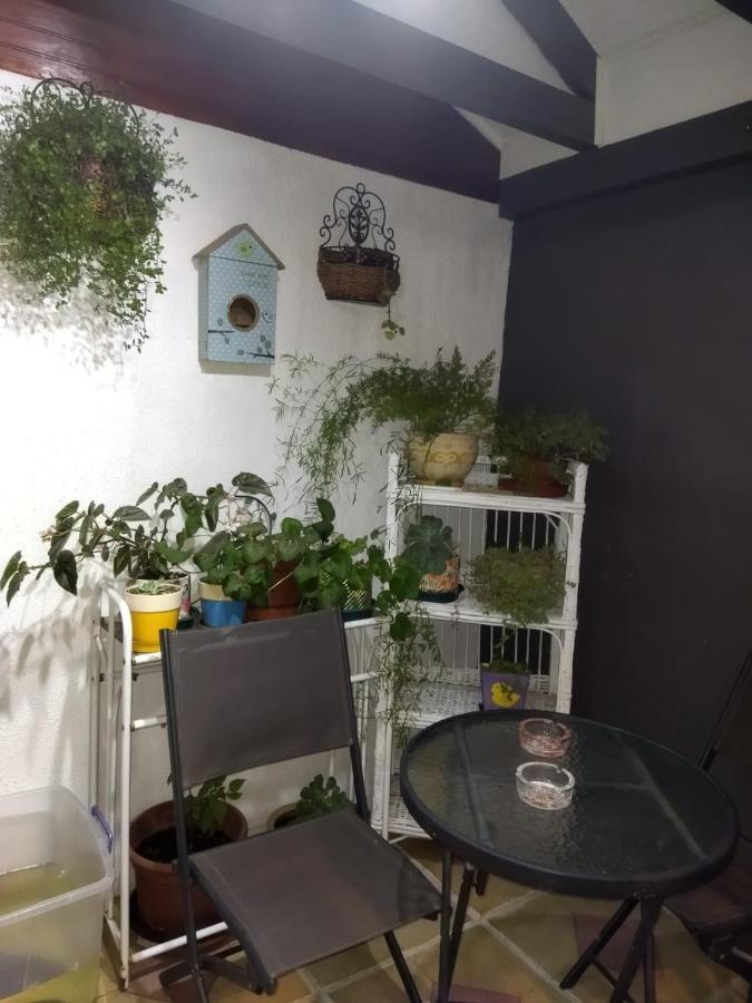 Casa Roble Anejo Bed & Breakfast Santa Cruz Bagian luar foto